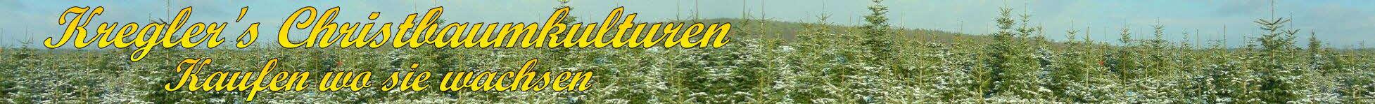 Banner Kregler Winter
